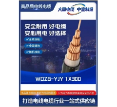 WDZB-YJY 1X300低烟无卤电缆